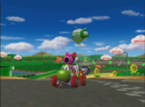 Birdo and Yoshi racing on Luigi Circuit