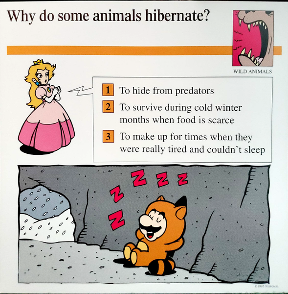 File:Hibernate quiz card.png