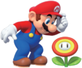 Mario and a Fire Flower