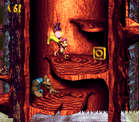 Dixie Kong and Kiddy Kong find the letter O of Ripsaw Rage