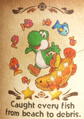 "Caught every fish from beach to debris." discovery from Snurfboard Habitat in Yoshi and the Mysterious Book