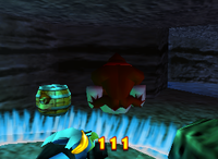 A setup for a Golden Banana for Donkey Kong on DK Isles.