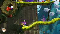 Loopdeecoop Habitat
