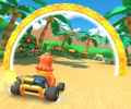 Thumbnail of the Daisy Cup challenge from the 2019 Paris Tour; a Ring Race challenge set on 3DS Cheep Cheep Lagoon (reused as the Bowser Cup's bonus challenge in the Marine Tour and the Daisy Cup's bonus challenge in the Summer Tour)