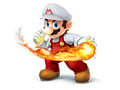 Super Smash Bros. for Nintendo 3DS / Wii U Fire Mario
