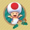 Toad card from Nintendo Characters Holiday Memory Match-Up Online Activity