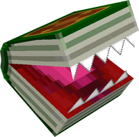 Bookend's model from Super Mario 64 DS