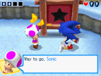 A mission board after using the Completion Ticket in the game Mario & Sonic at the Olympic Winter Games for the DS.