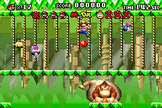 Mario and Donkey Kong battling in Donkey Kong Jungle.