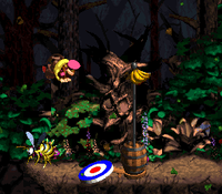 Gusty Glade DKC2 end.png