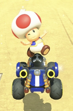 Toad performing a trick.