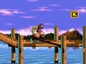 The image for "Stilt Village" from Donkey Kong Country 3: Dixie Kong's Double Trouble! on Nintendo Music.