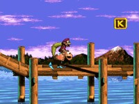 NM DKC3 Stilt Village.jpg
