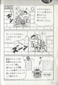 Page 231 of the Super Mario Complete Encyclopedia (「スーパーマリオ全百科」).
