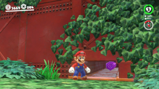 In a small alcove hidden near Goombette (Forest Charging Station).
