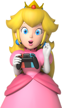 NSOnlineService Peach.png