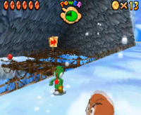 Frosty Slide for 8 Red Coins from Super Mario 64 DS