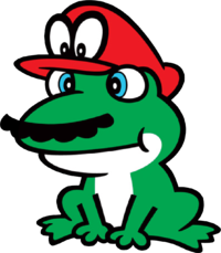 Artwork of a captured frog from Super Mario Odyssey.