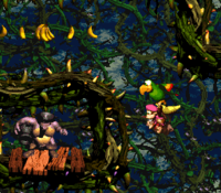 Squawks and the Kongs flying around the first Kannon of Bramble Scramble in Donkey Kong Country 2: Diddy's Kong Quest