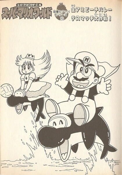 File:Chapter 2 SMW5.jpg