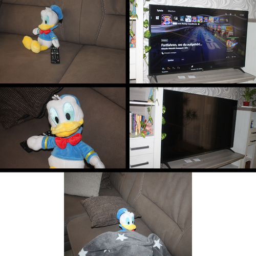 Five photographs are shown in comic format, arranged left to right, top to bottom. In the first, Donald duck sit on the couch with a TV remote in his hand. The second panel shows a turned-on TV. The third shows Donald pressing the power button on the remote to turn off the TV. In the fourth, the TV is shown turned off. In the fifth and final image, Donald is asleep in blankets.