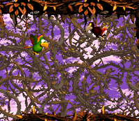 A bug causing Screech to remain at the starting point, if Squawks the Parrot flies above his head, from Screech's Sprint
