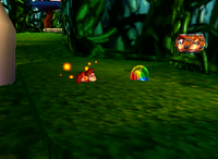 A 5-Banana Coin in Fungi Forest.