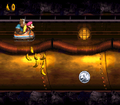 A bear coin is located below the Kongs.