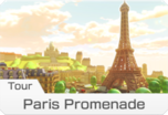 Tour Paris Promenade
