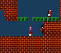 Super Mario Bros. 2 (World 6-3)