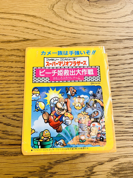 File:SMB PHKDS Interesting Scouting Game.png