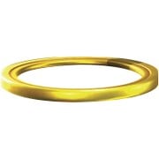 Coin ring - Super Mario Wiki, the Mario encyclopedia
