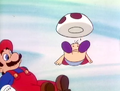 Toad's miscolored pants and chest