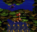 The Kongs swim below a Croctopus to a hidden area with many bananas