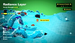 Where to find a Bloomintone