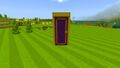 Minecraft Mario Mash-Up Acacia Door.jpg