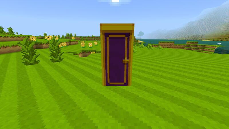 File:Minecraft Mario Mash-Up Acacia Door.jpg