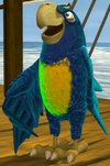 Polly Roger in the "Booty and the Beast" episode of the Donkey Kong Country TV series.