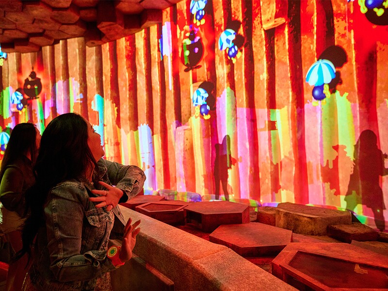 File:SNW Bowser Jr Shadow Showdown.jpg