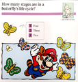 "How many stages there are in a butterfly's life cycle?"