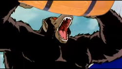 Reference to Donkey Kong from Dragon Ball Z Abridged
