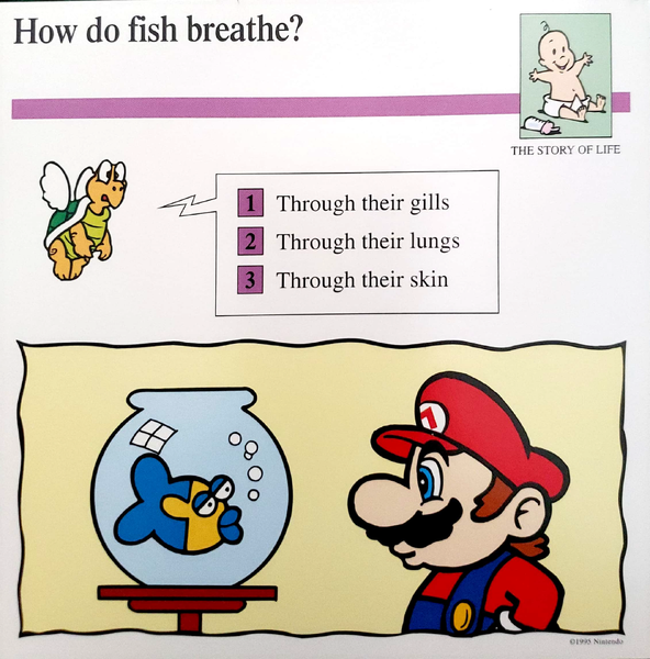 File:Fish breathe quiz card.png