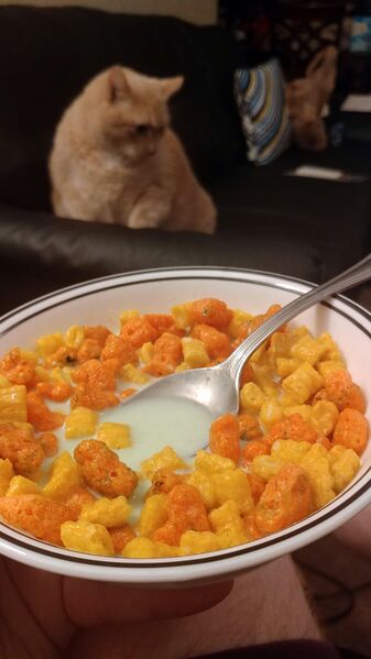 File:HalfBaked 139 10.jpg