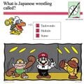 Japanese wrestling quiz card.jpg