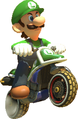 Luigi's Standard Kart.