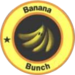 Banana Bunch