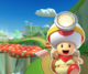 Wii Mushroom Gorge R from Mario Kart Tour