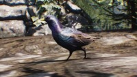 ShroomBirdsSkyrim9.jpg