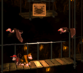 The Kongs travel under the Winky Crate, which sits between two Neckys.