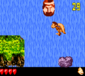 Dixie jumps from a platform in the first Bonus Level